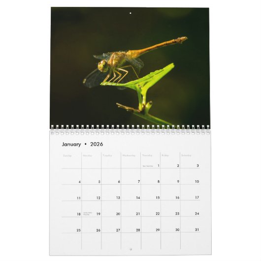 Dragonfly-kalender 2017 kalender (Jan 2026)