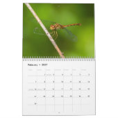 Dragonfly-kalender 2017 kalender (Feb 2027)