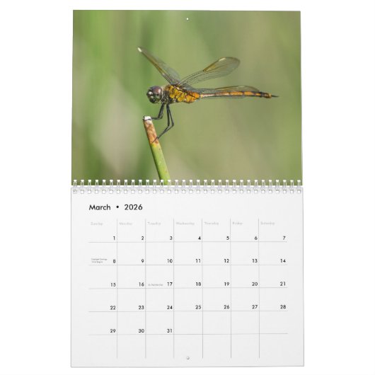 Dragonfly-kalender 2018 kalender (Mar 2026)