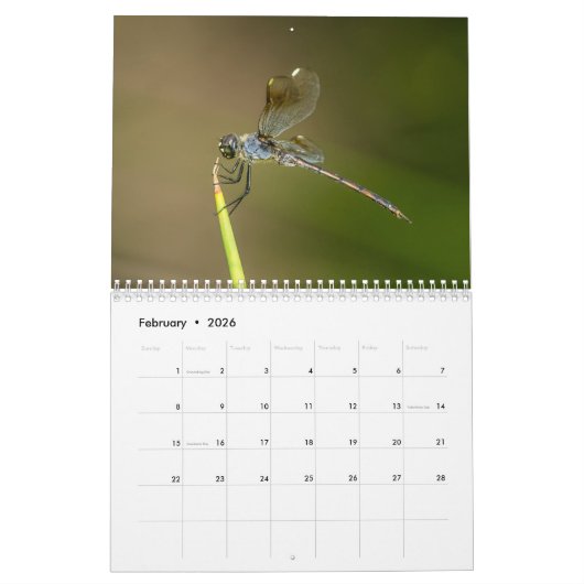 Dragonfly-kalender 2018 kalender (Feb 2026)