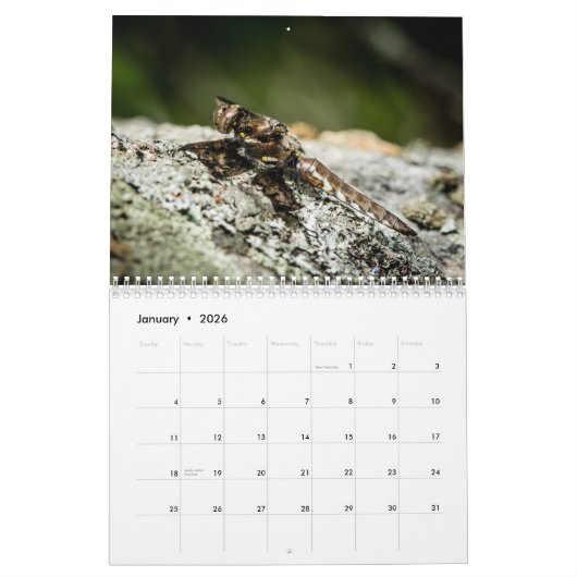 Dragonfly-kalender 2018 kalender (Jan 2026)