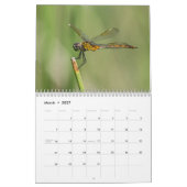 Dragonfly-kalender 2018 kalender (Mar 2027)