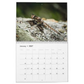 Dragonfly-kalender 2018 kalender (Jan 2027)