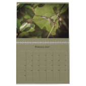 Dragonfly-kalender Kalender (Feb 2027)