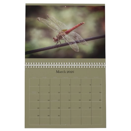 Dragonfly-kalender Kalender (Mar 2026)