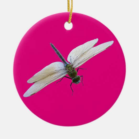 Dragonfly Keramisch Ornament (Voorkant)