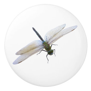Dragonfly Keramische Knop