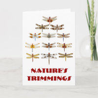 Dragonfly-kerstboom- Naturen