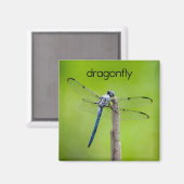 Dragonfly-koelkast Magnet (Voorkant / Achterkant)