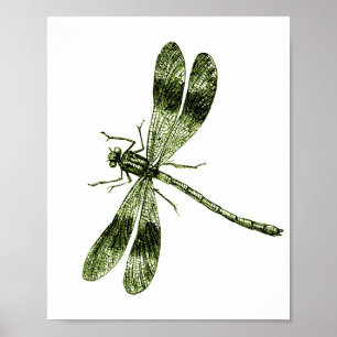  dragonfly - Licht groen Poster