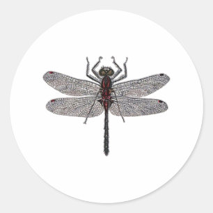 Dragonfly Logo (kleur) Ronde Sticker