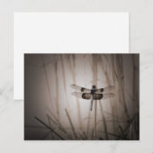 Dragonfly - look briefkaart (Voorkant / Achterkant)