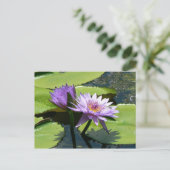 Dragonfly Lotus Briefkaart (Staand voorkant)