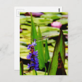 Dragonfly lotus en paarse bloem briefkaart (Voorkant / Achterkant)
