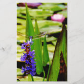 Dragonfly lotus en paarse bloem briefpapier (Voorkant)