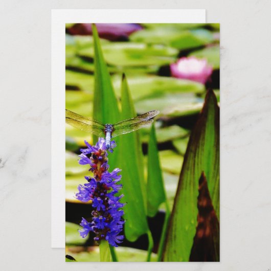 Dragonfly lotus en paarse bloem briefpapier (Voorkant / Achterkant)