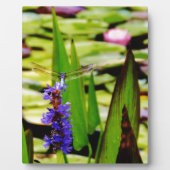 Dragonfly lotus en paarse bloem fotoplaat (Voorkant)