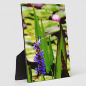 Dragonfly lotus en paarse bloem fotoplaat (Zijkant)