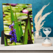 Dragonfly lotus en paarse bloem fotoplaat (Zijkant)