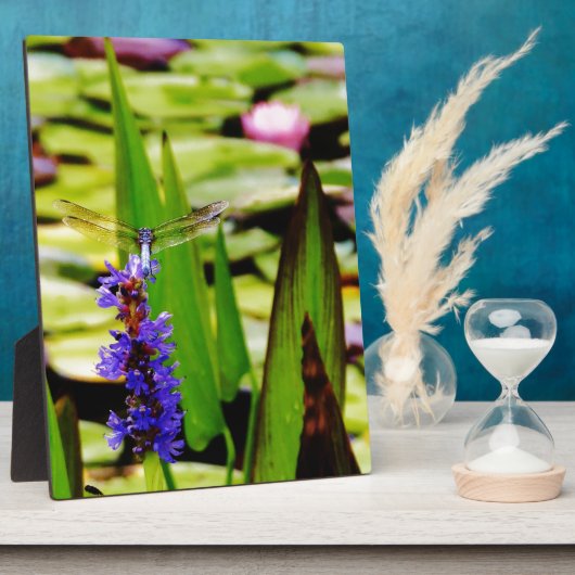 Dragonfly lotus en paarse bloem fotoplaat (Zijkant)