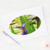 Dragonfly lotus en paarse bloem ovale sticker (Envelop)