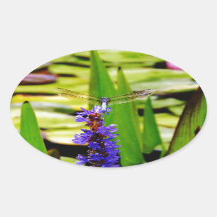 Dragonfly lotus en paarse bloem ovale sticker