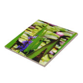 Dragonfly lotus en paarse bloem tegeltje (Zijkant)