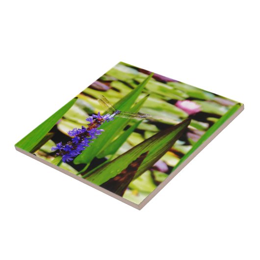 Dragonfly lotus en paarse bloem tegeltje (Zijkant)
