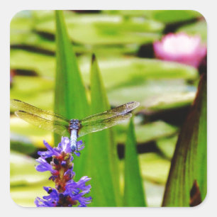Dragonfly lotus en paarse bloem vierkante sticker