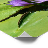 Dragonfly Lotus Poster (Hoek)