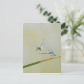 Dragonfly Love Briefkaart (Staand voorkant)