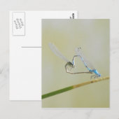 Dragonfly Love Briefkaart (Voorkant / Achterkant)