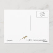 Dragonfly Love Briefkaart (Achterkant)