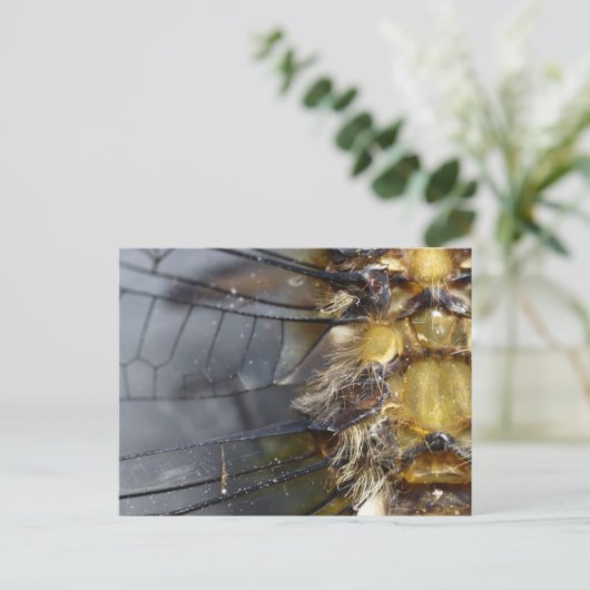 Dragonfly Macro Briefkaart (Staand voorkant)