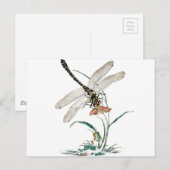 Dragonfly Magic Briefkaart (Voorkant / Achterkant)