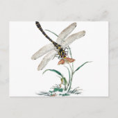 Dragonfly Magic Briefkaart (Voorkant)