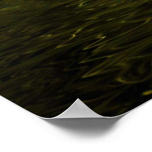 Dragonfly Magic Poster (Hoek)