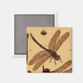 Dragonfly Magneet (Voorkant / Achterkant)