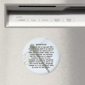 Dragonfly magneet (Insitu (Vaatwasser))