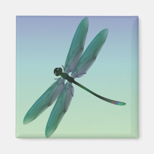 Dragonfly Magneet (Voorkant)