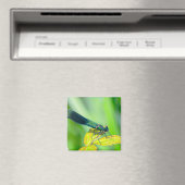 Dragonfly Magneet (Insitu (Vaatwasser))