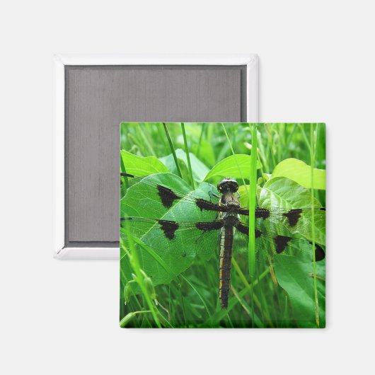 Dragonfly Magneet (Voorkant / Achterkant)
