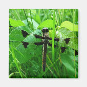 Dragonfly Magneet (Voorkant)