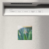 Dragonfly Magneet (Insitu (Vaatwasser))