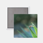 Dragonfly Magneet (Voorkant / Achterkant)