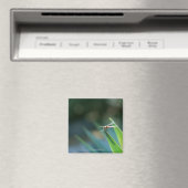 Dragonfly Magneet (Insitu (Vaatwasser))