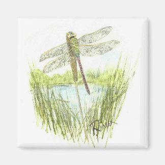 Dragonfly magneet