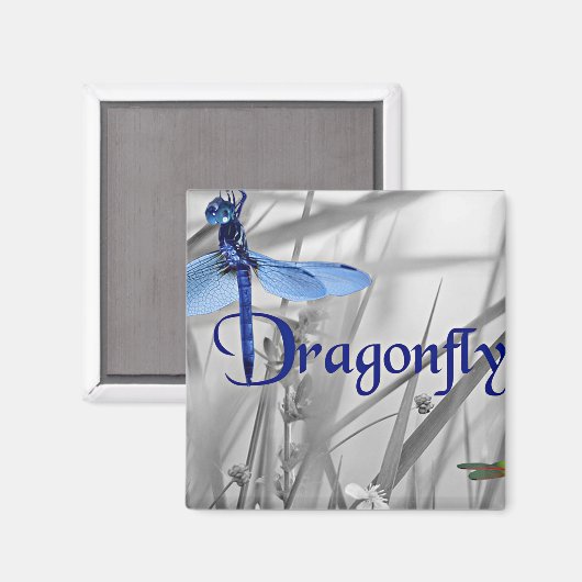 Dragonfly Magneet (Voorkant / Achterkant)
