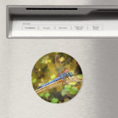Dragonfly Magnet (Insitu (Vaatwasser))