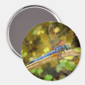 Dragonfly Magnet (Voorkant / Achterkant)